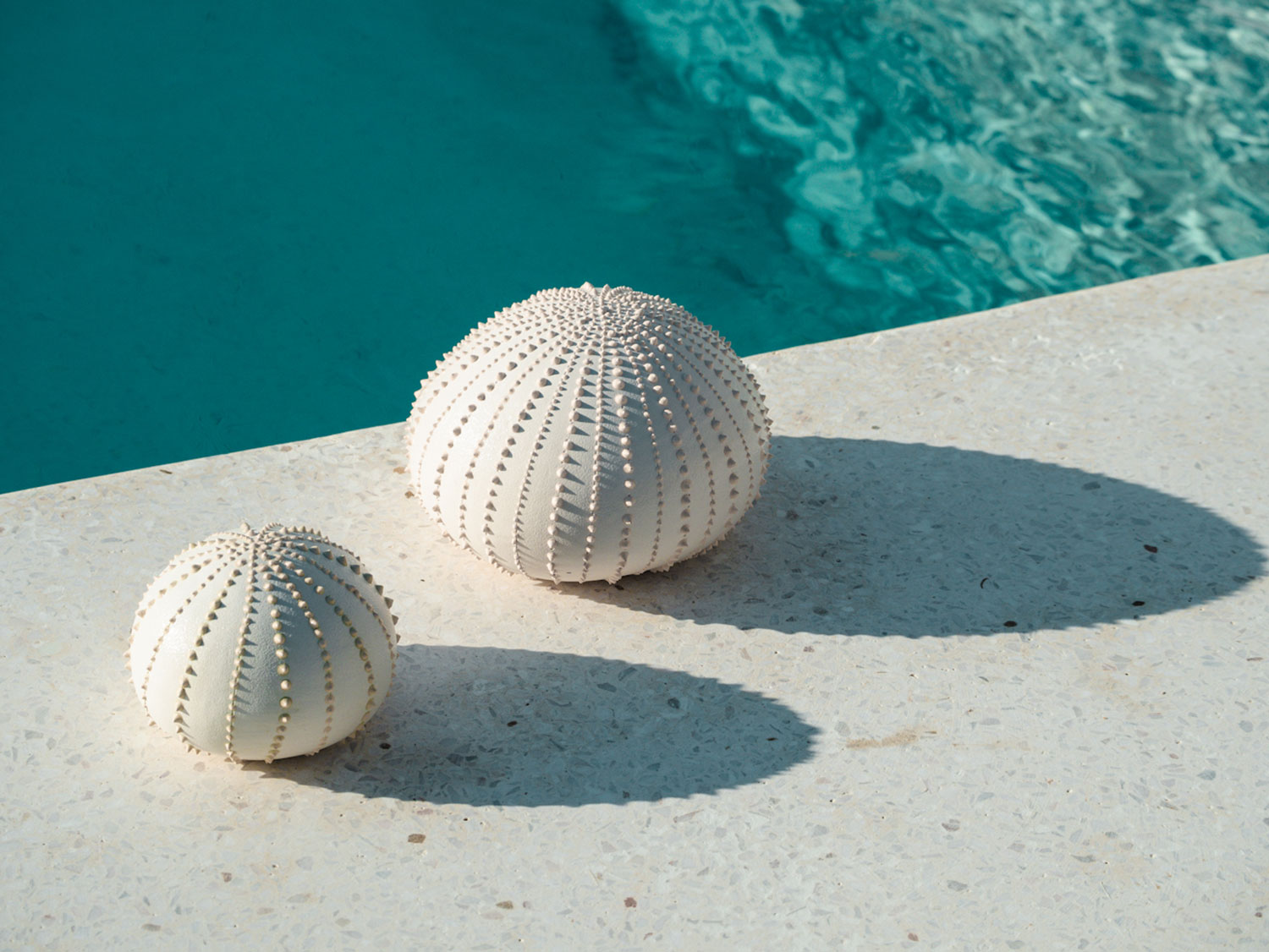 Koukoumi Vegan Hotel shop souvenirs