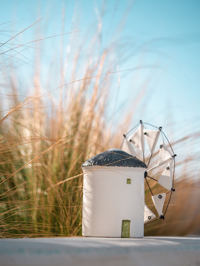 Koukoumi Vegan Hotel shop souvenirs