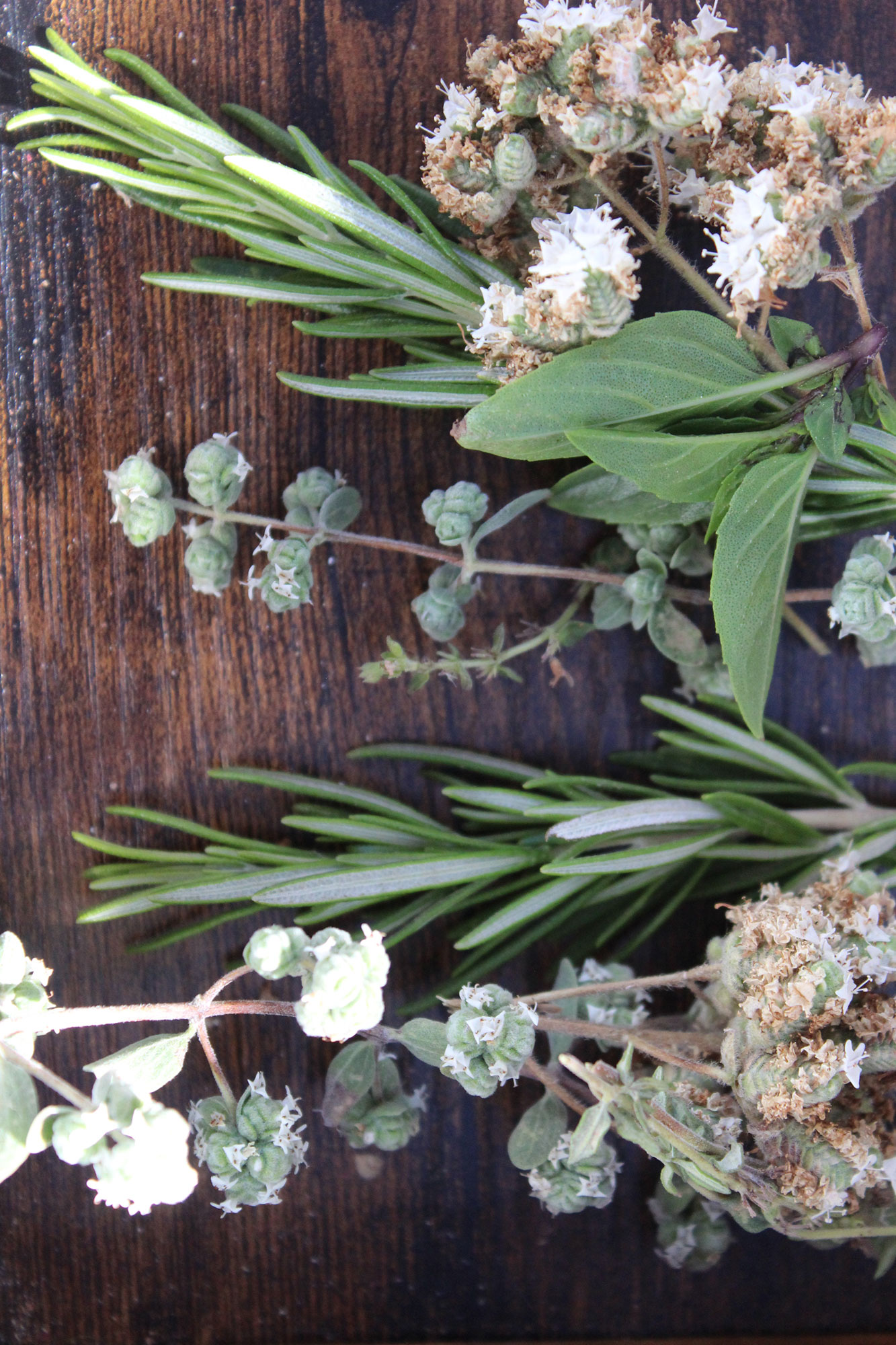 Koukoumi Vegan Hotel cooking classes materials