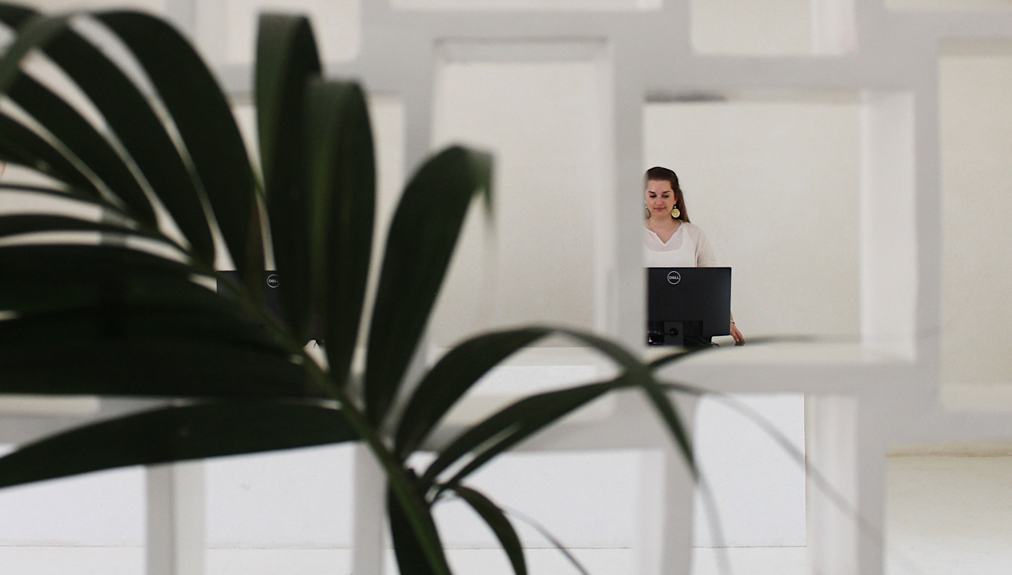 Koukoumi Vegan Hotel reception decoration